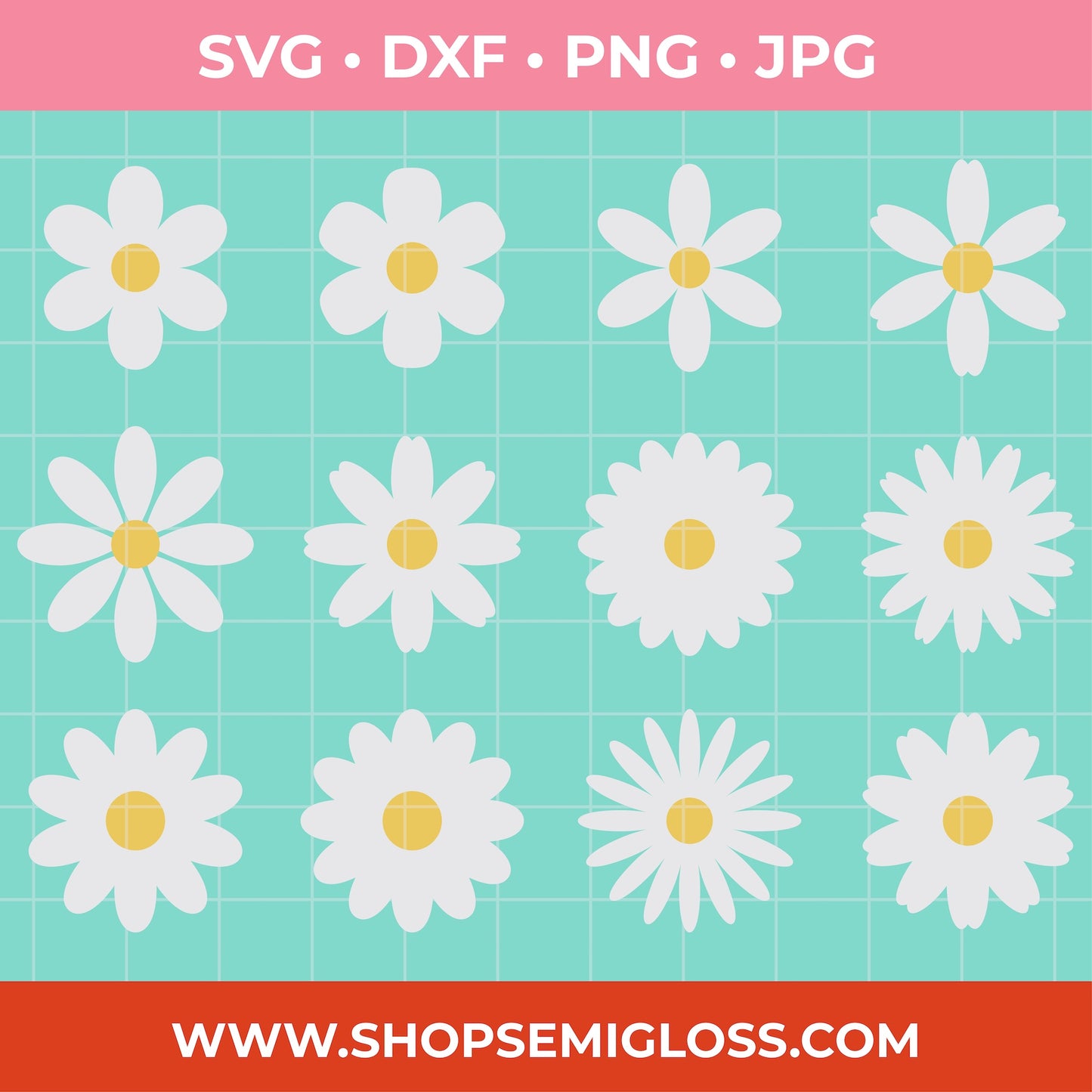White daisy flowers with yellow centers on a teal grid background, featuring file format options and a website URL at the bottom.