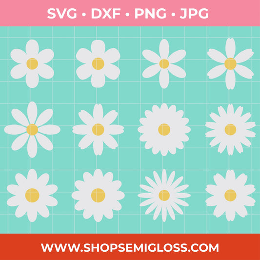 White daisy flowers with yellow centers on a teal grid background, featuring file format options and a website URL at the bottom.