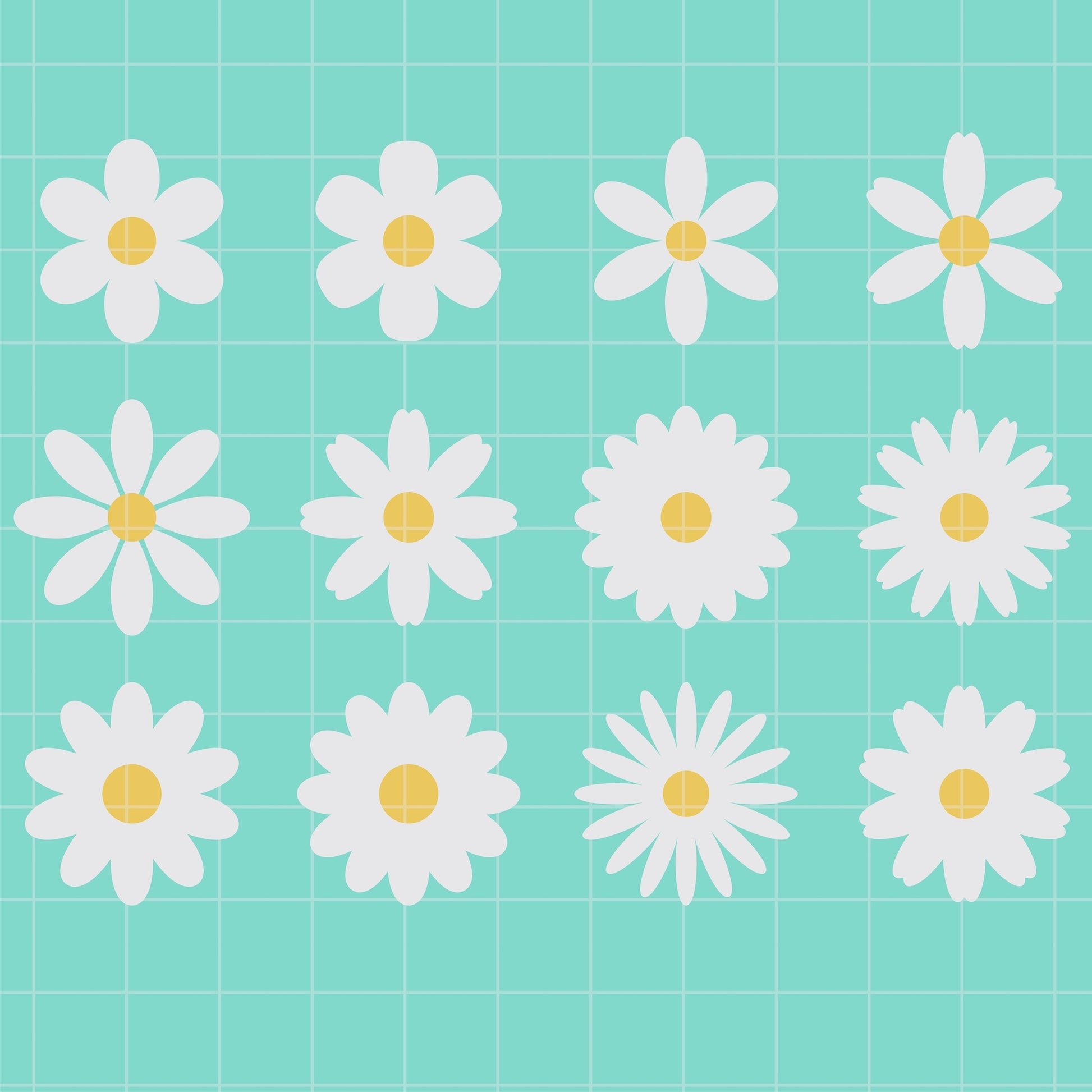 White daisies with yellow centers on a teal grid background
